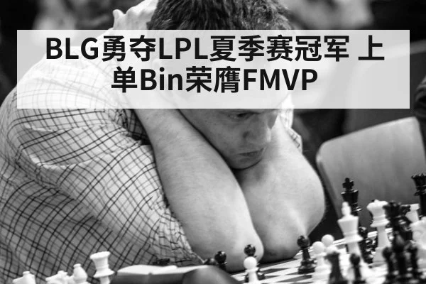 BLG勇夺LPL夏季赛冠军 上单Bin荣膺FMVP