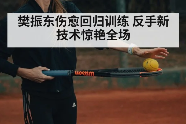樊振东伤愈回归训练 反手新技术惊艳全场