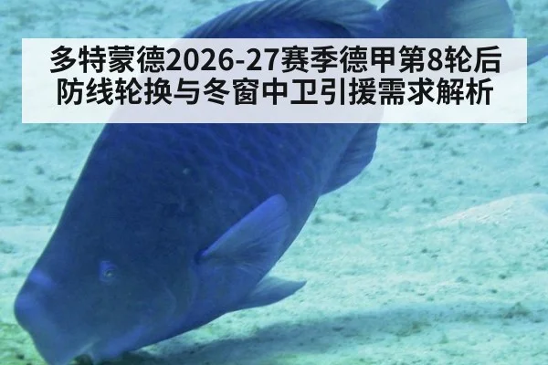 多特蒙德2026-27赛季德甲第8轮后防线轮换与冬窗中卫引援需求解析